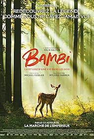 Photo of Bambi, l'histoire d'une vie dans les boisBambi, l'histoire d'une vie dans les bois